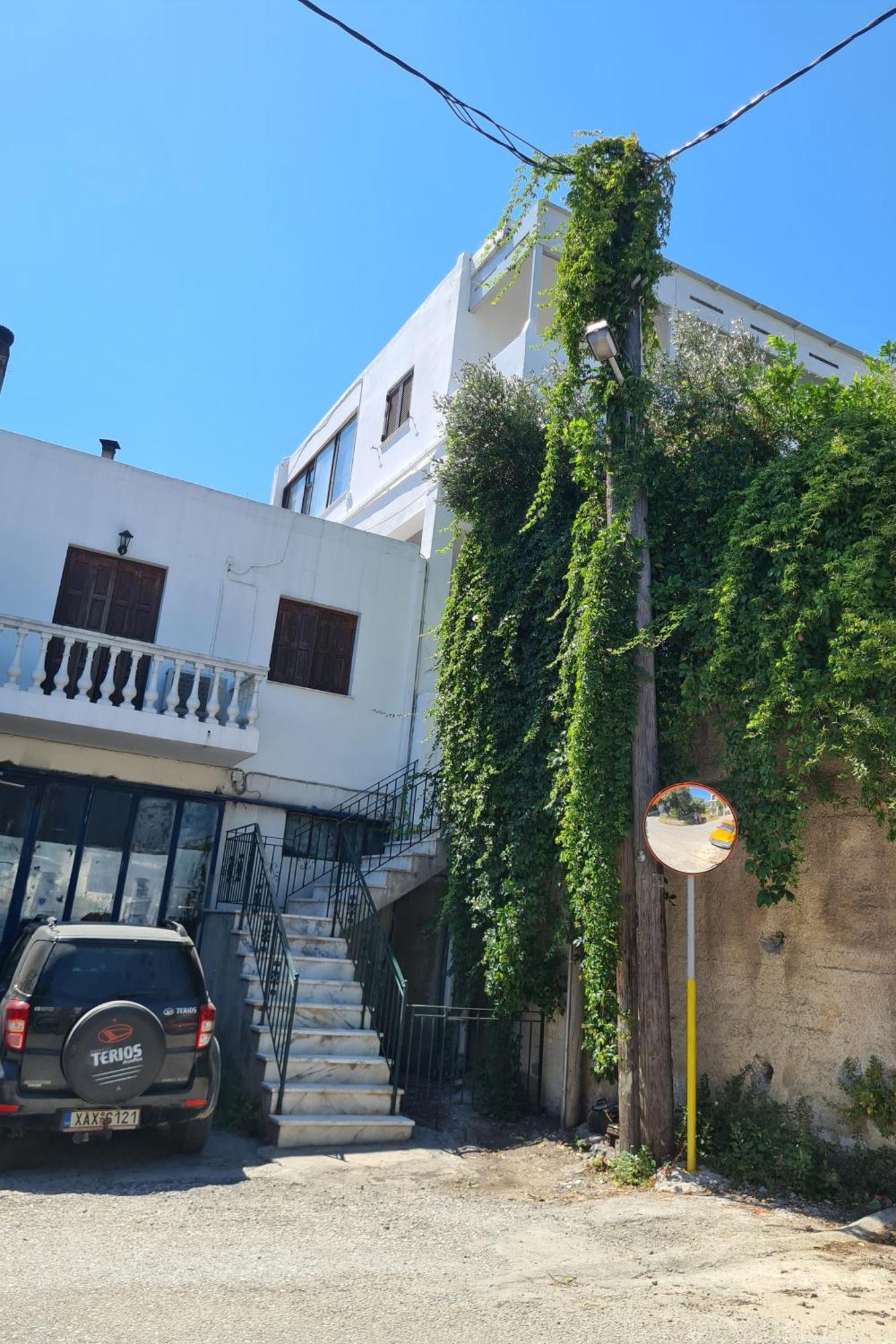 Μονοκατοικία Με Θέα Τη Χώρα 斯基罗斯岛 外观 照片